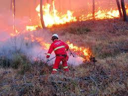 In tutto il Piemonte scatta lo stato di massima pericolosità per incendi boschivi