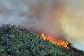 Incendi boschivi Piemonte, revocato lo stato di massima pericolosità a valere dal 15.04.2021